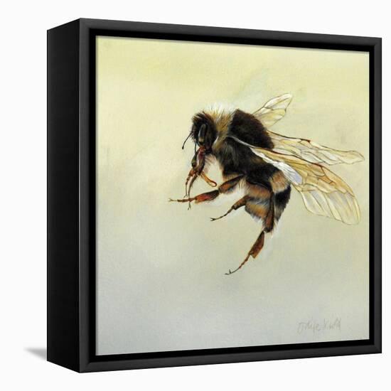 Bombus terrestris 4, 2011-Odile Kidd-Framed Premier Image Canvas