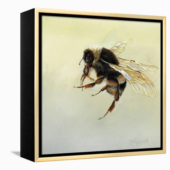 Bombus terrestris 4, 2011-Odile Kidd-Framed Premier Image Canvas