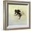 Bombus terrestris 4, 2011-Odile Kidd-Framed Giclee Print