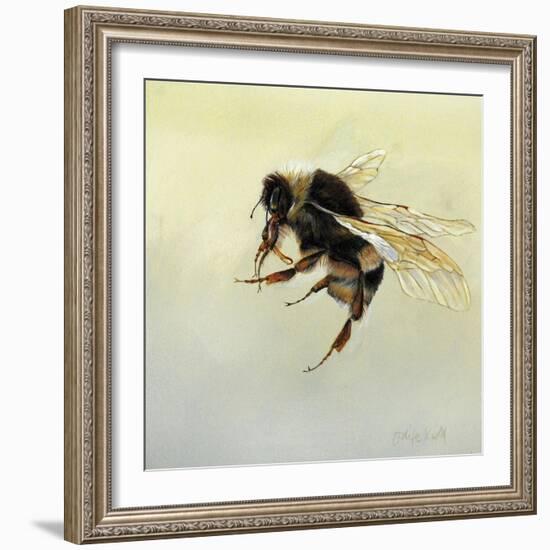 Bombus terrestris 4, 2011-Odile Kidd-Framed Giclee Print