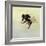 Bombus terrestris 4, 2011-Odile Kidd-Framed Giclee Print