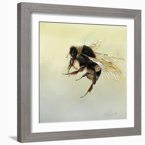 Bombus terrestris 4, 2011-Odile Kidd-Framed Giclee Print