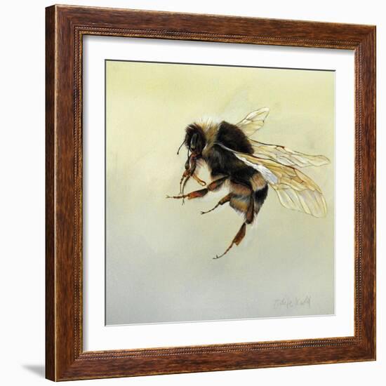 Bombus terrestris 4, 2011-Odile Kidd-Framed Giclee Print