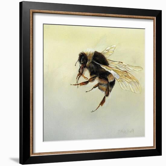 Bombus terrestris 4, 2011-Odile Kidd-Framed Giclee Print