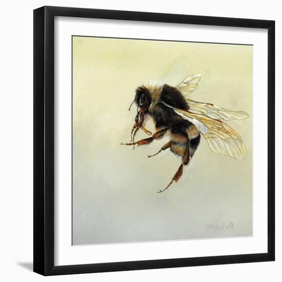 Bombus terrestris 4, 2011-Odile Kidd-Framed Giclee Print