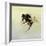 Bombus terrestris 4, 2011-Odile Kidd-Framed Giclee Print