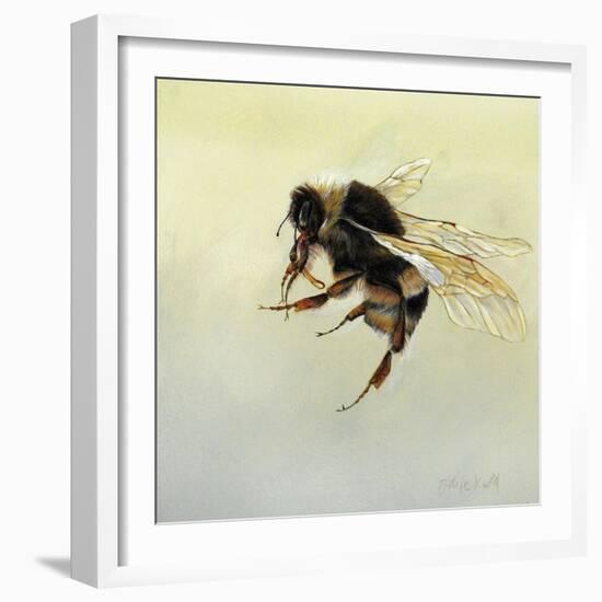 Bombus terrestris 4, 2011-Odile Kidd-Framed Giclee Print