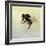 Bombus terrestris 4, 2011-Odile Kidd-Framed Giclee Print