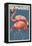 Bonaire, Dutch Caribbean - Flamingo-Lantern Press-Framed Stretched Canvas