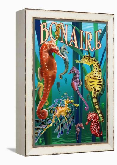 Bonaire, Dutch Caribbean - Seahorses-Lantern Press-Framed Stretched Canvas