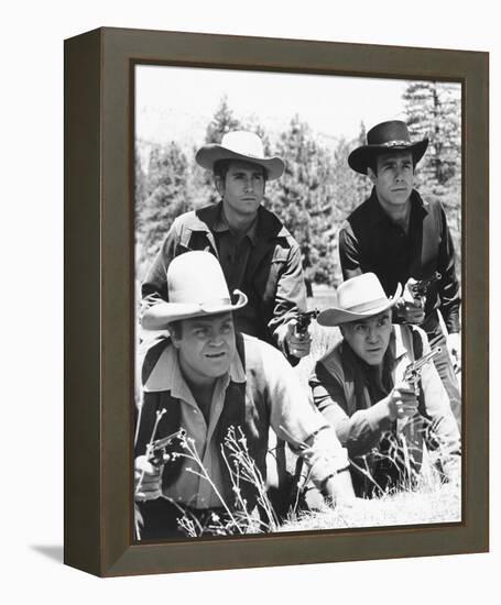 Bonanza-null-Framed Stretched Canvas