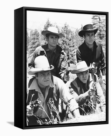 Bonanza-null-Framed Stretched Canvas