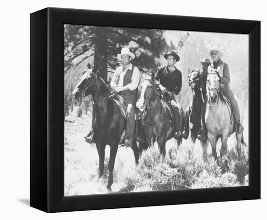 Bonanza-null-Framed Stretched Canvas