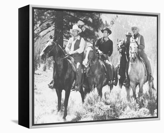 Bonanza-null-Framed Stretched Canvas