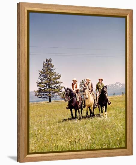 Bonanza-null-Framed Stretched Canvas