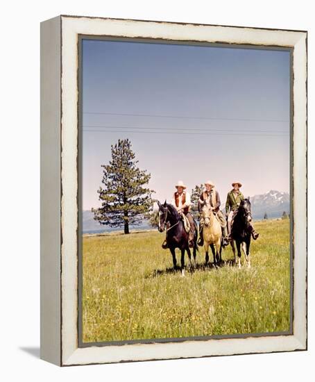 Bonanza-null-Framed Stretched Canvas