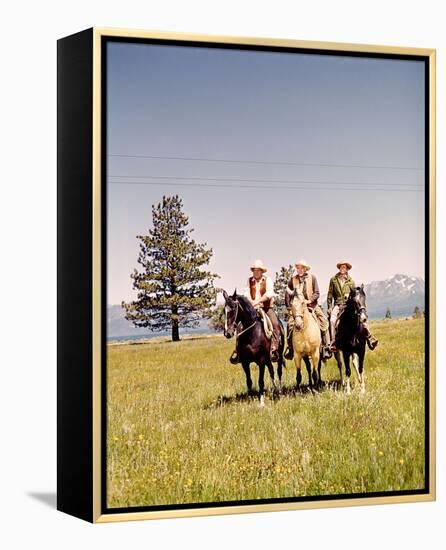 Bonanza-null-Framed Stretched Canvas