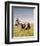 Bonanza-null-Framed Photo