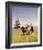 Bonanza-null-Framed Photo