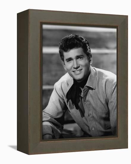 Bonanza-null-Framed Stretched Canvas