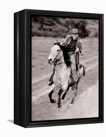 Bonanza-null-Framed Stretched Canvas