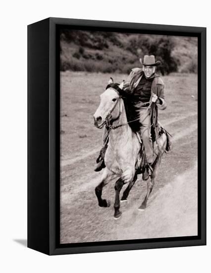 Bonanza-null-Framed Stretched Canvas