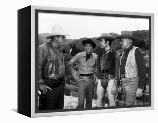 Bonanza-null-Framed Stretched Canvas