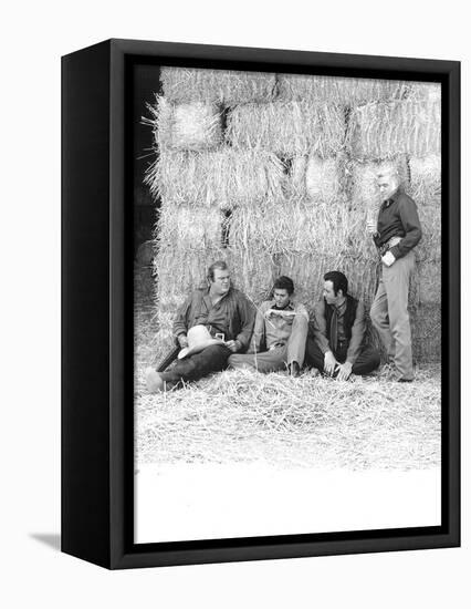 Bonanza-null-Framed Stretched Canvas