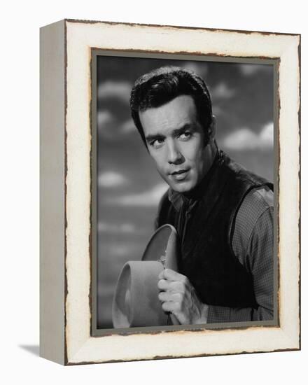 Bonanza-null-Framed Stretched Canvas