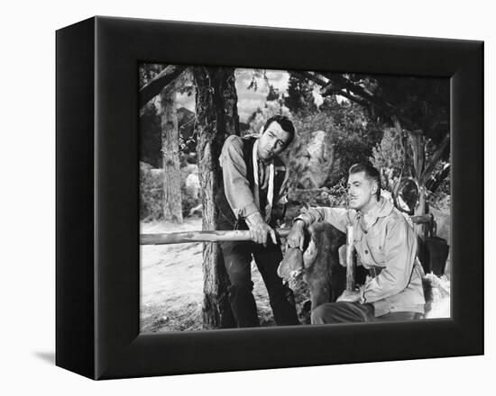 Bonanza-null-Framed Stretched Canvas