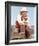 Bonanza-null-Framed Photo