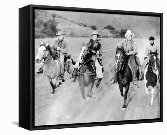 Bonanza-null-Framed Stretched Canvas