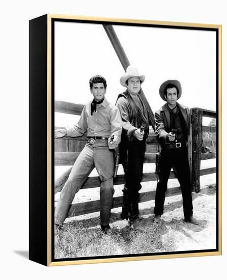 Bonanza-null-Framed Stretched Canvas