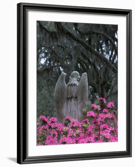 Bonaventure Cemetery, Savannah, Georgia, USA-Joanne Wells-Framed Photographic Print