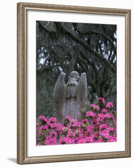 Bonaventure Cemetery, Savannah, Georgia, USA-Joanne Wells-Framed Photographic Print