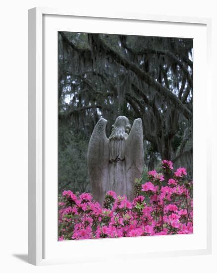 Bonaventure Cemetery, Savannah, Georgia, USA-Joanne Wells-Framed Photographic Print