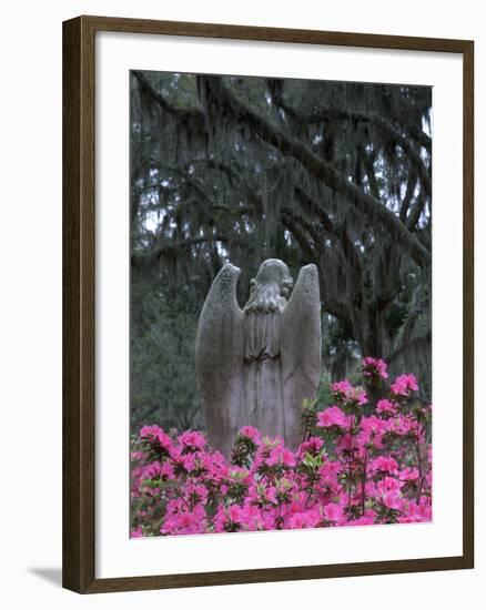 Bonaventure Cemetery, Savannah, Georgia, USA-Joanne Wells-Framed Photographic Print