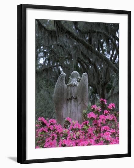 Bonaventure Cemetery, Savannah, Georgia, USA-Joanne Wells-Framed Photographic Print