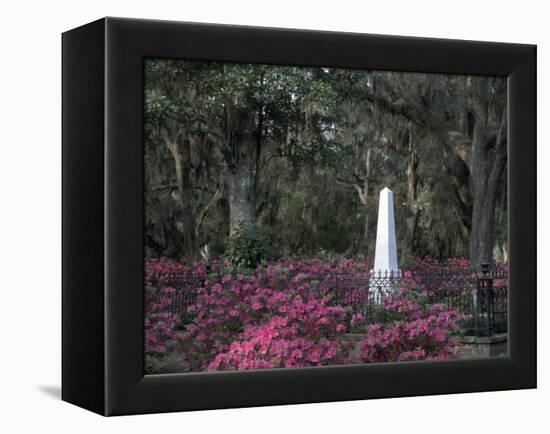 Bonaventure Cemetery, Savannah, Georgia, USA-Joanne Wells-Framed Premier Image Canvas