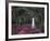 Bonaventure Cemetery, Savannah, Georgia, USA-Joanne Wells-Framed Photographic Print