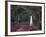 Bonaventure Cemetery, Savannah, Georgia, USA-Joanne Wells-Framed Photographic Print