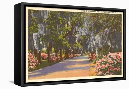 Bonaventure Cemetery, Savannah, Georgia-null-Framed Stretched Canvas