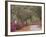 Bonaventure Cemetery with Moss Draped Oak, Dogwoods and Azaleas, Savannah, Georgia, USA-Joanne Wells-Framed Photographic Print