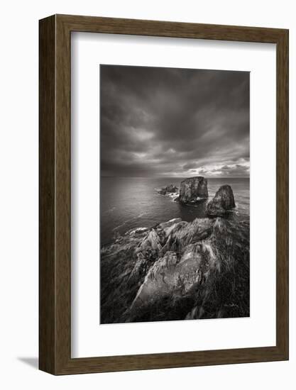 Bonavista Peninsula-Alan Majchrowicz-Framed Photographic Print