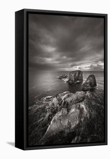 Bonavista Peninsula-Alan Majchrowicz-Framed Premier Image Canvas