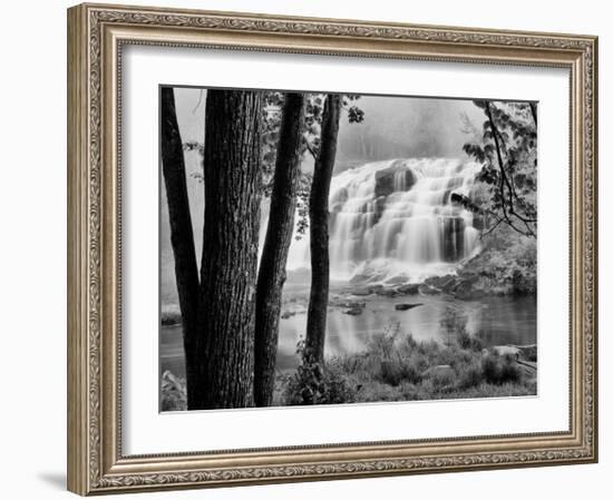 Bond Falls & Trees-Monte Nagler-Framed Giclee Print