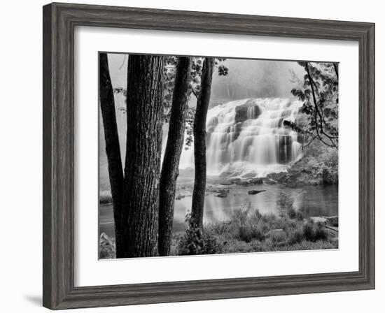 Bond Falls & Trees-Monte Nagler-Framed Giclee Print