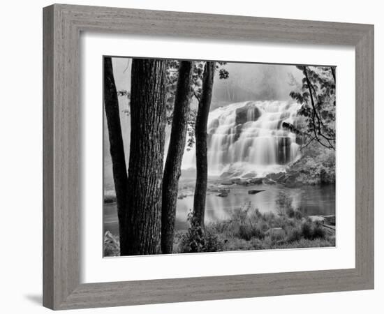 Bond Falls & Trees-Monte Nagler-Framed Giclee Print