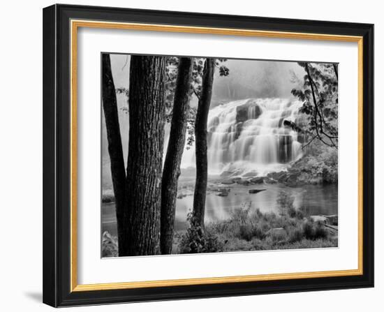 Bond Falls & Trees-Monte Nagler-Framed Giclee Print