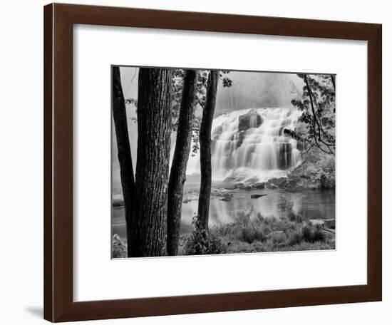 Bond Falls & Trees-Monte Nagler-Framed Giclee Print